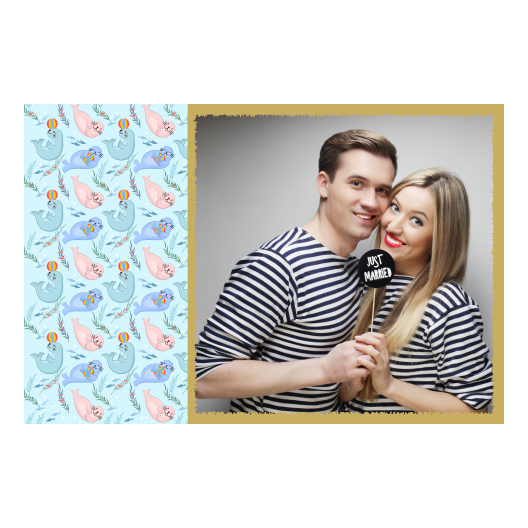 Seal Day + seals + 409 gold Seal Day + seals + 409 gold