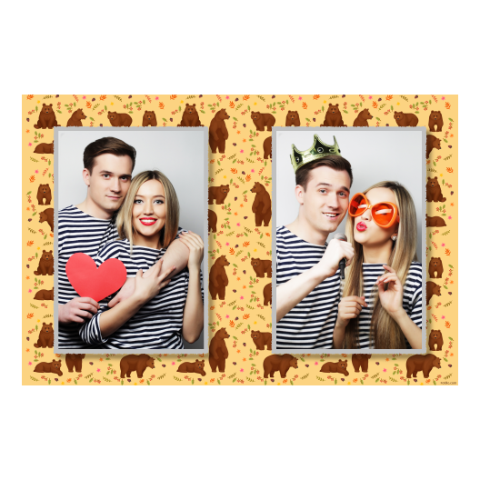 Grizli + niedźwiedzie + 411 Grizli + niedźwiedzie + 411