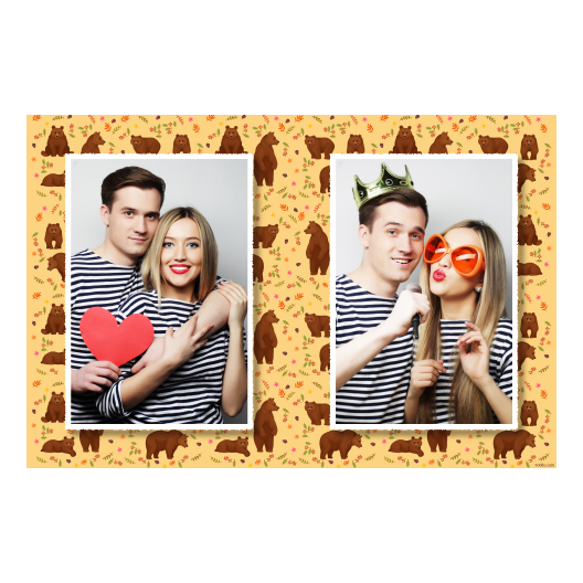 Grizli + niedźwiedzie + 411 biały Grizli + niedźwiedzie + 411 biały