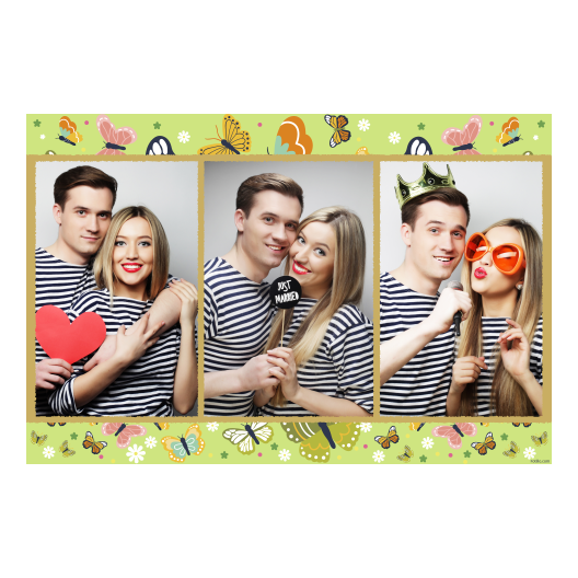 Butterfly Day + butterflies + 412 gold Butterfly Day + butterflies + 412 gold