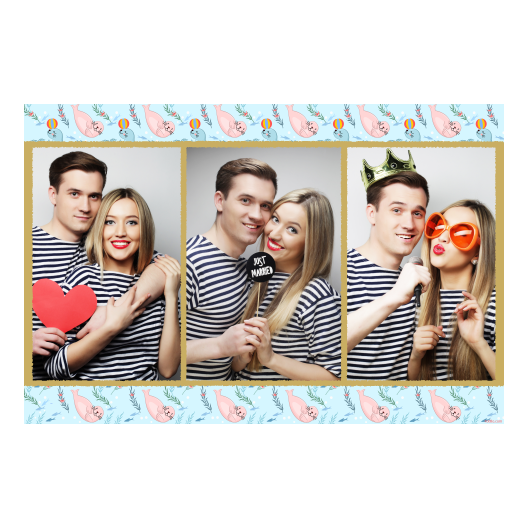 Seal Day + seals + 412 gold Seal Day + seals + 412 gold