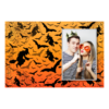 416-1-P-191-Halloween_Bat-193