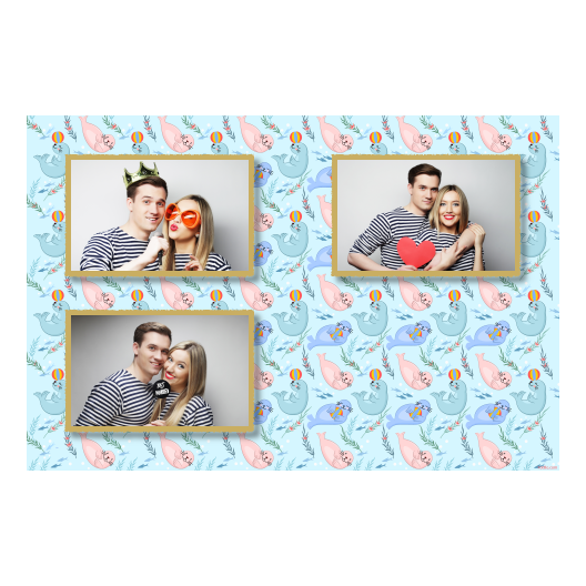 Seal Day + seals + 418 gold Seal Day + seals + 418 gold