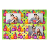 Spring + flowers + 419 no frame