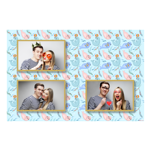 Seal Day + seals + 420 gold Seal Day + seals + 420 gold