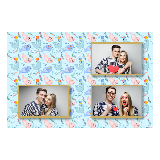 Seal Day + seals + 421 gold Seal Day + seals + 421 gold