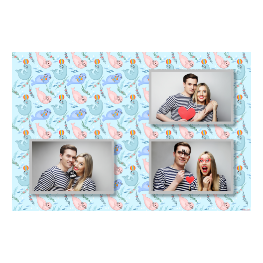 421-3-HHH-191-Seal_Day-249