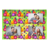 Spring + flowers + 421 no frame Spring + flowers + 421 no frame