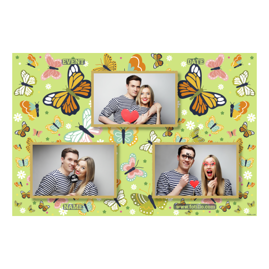 Template 422 consisting of 3 photos – Butterfly Day + butterflies - Image 2