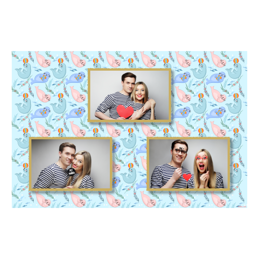 Seal Day + seals + 422 gold Seal Day + seals + 422 gold