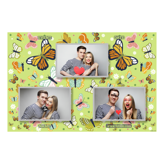 Template 422 consisting of 3 photos – Butterfly Day + butterflies - Image 4