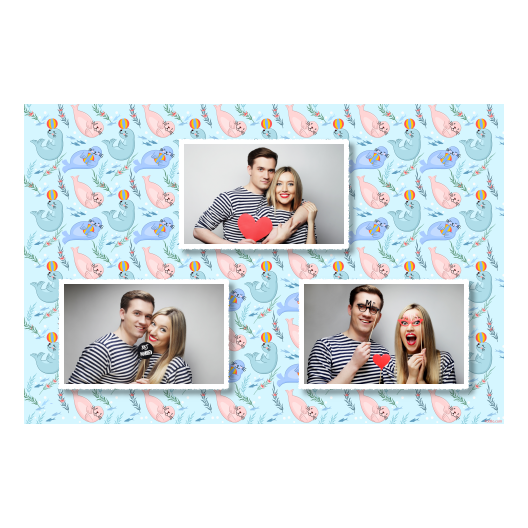 422-3-HHH-255-Seal_Day-249