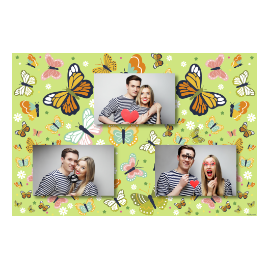 Butterfly Day + butterflies + 422 no frame