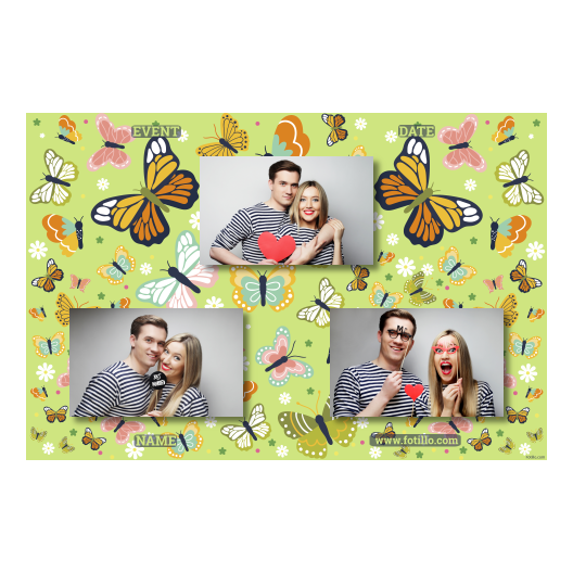 Template 422 consisting of 3 photos – Butterfly Day + butterflies - Image 8