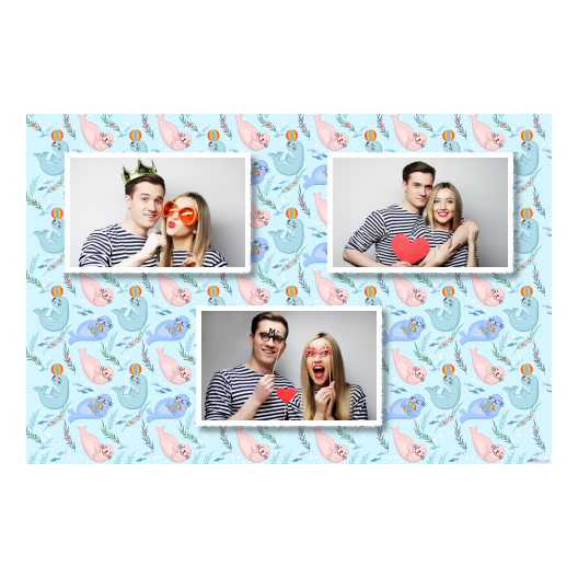 423-3-HHH-255-Seal_Day-249