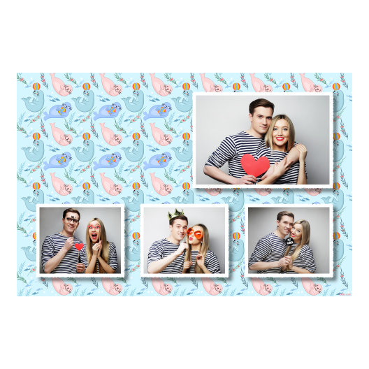 425-4-HKKK-191-Seal_Day-249