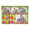426-4-KKKH-255-Spring-069T