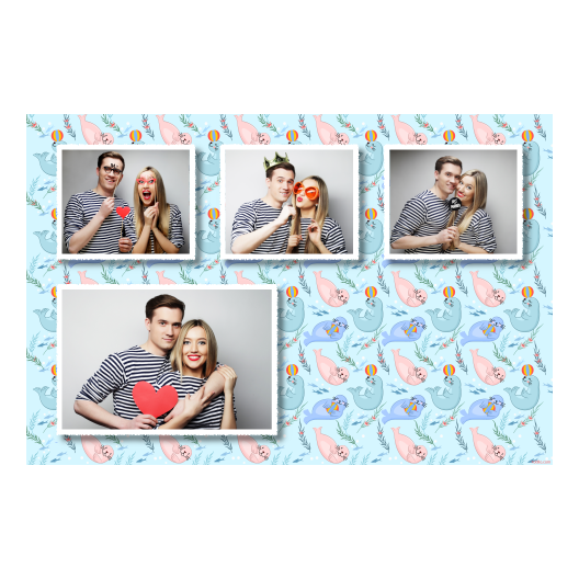 427-4-KKKH-255-Seal_Day-249