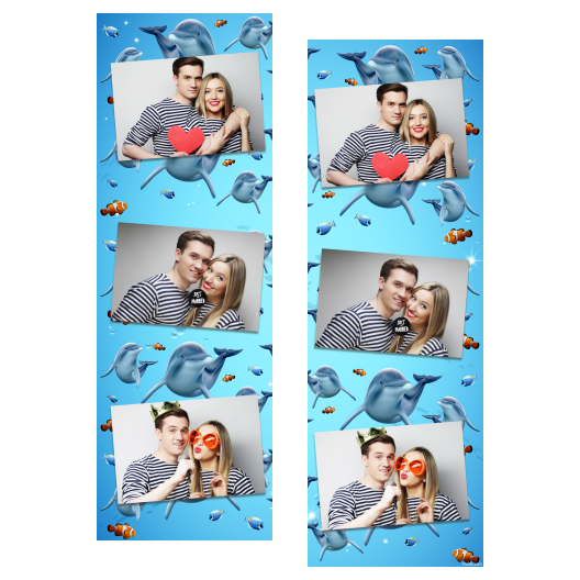 Dzień delfinów + ryby + 101 brak ramki Dzień delfinów + ryby + 101 brak ramki