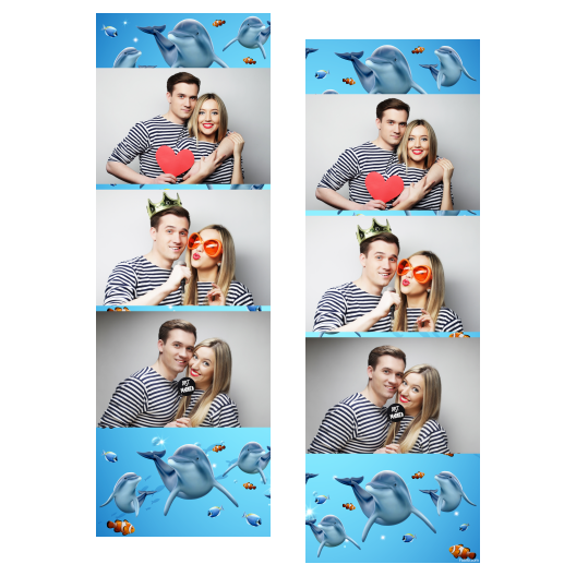 Dzień delfinów + ryby + 104 brak ramki Dzień delfinów + ryby + 104 brak ramki