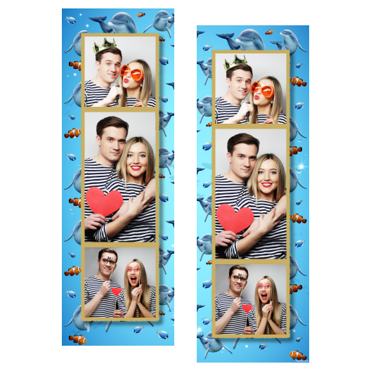 Dzień delfinów + ryby + 108 złoty Dzień delfinów + ryby + 108 złoty