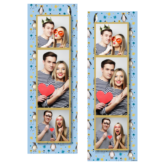 Dzień Pingwina + zwierzęta i kwiaty + 108 złoty Dzień Pingwina + zwierzęta i kwiaty + 108 złoty