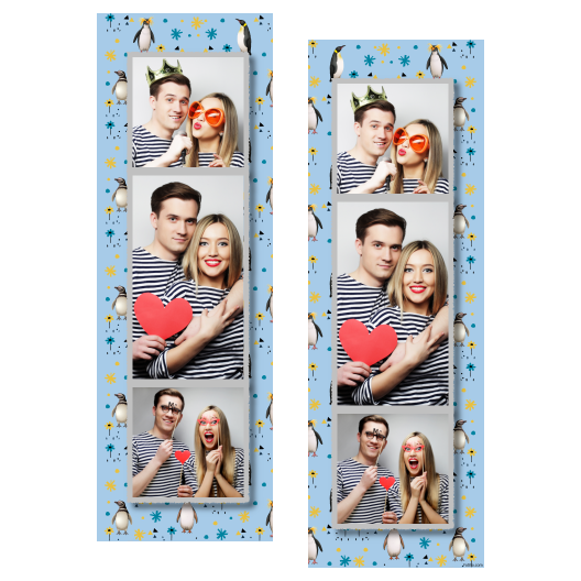 Dzień Pingwina + zwierzęta i kwiaty + 108 Dzień Pingwina + zwierzęta i kwiaty + 108