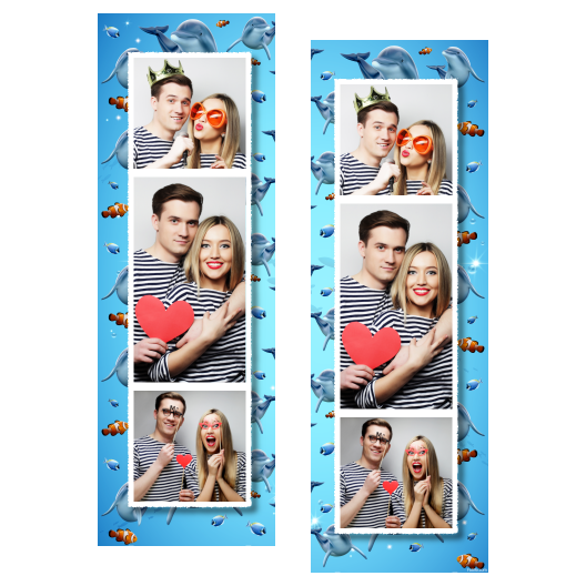 Dzień delfinów + ryby + 108 biały Dzień delfinów + ryby + 108 biały