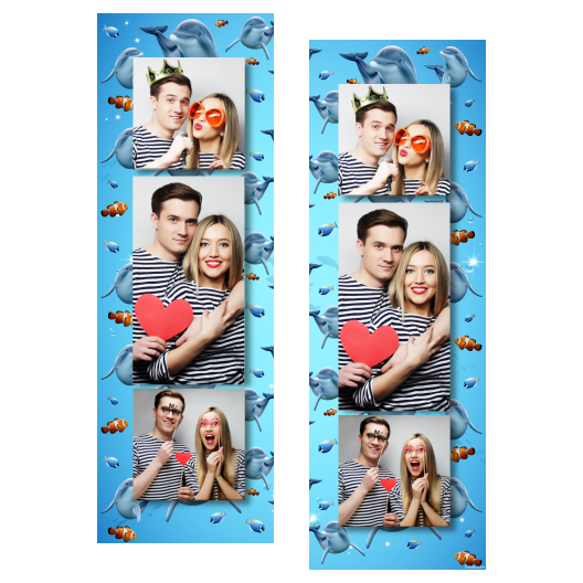 Dzień delfinów + ryby + 108 brak ramki Dzień delfinów + ryby + 108 brak ramki