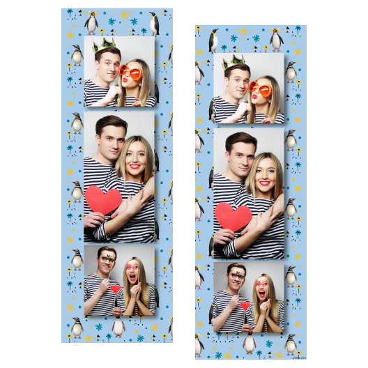 Dzień Pingwina + zwierzęta i kwiaty + 108 brak ramki Dzień Pingwina + zwierzęta i kwiaty + 108 brak ramki