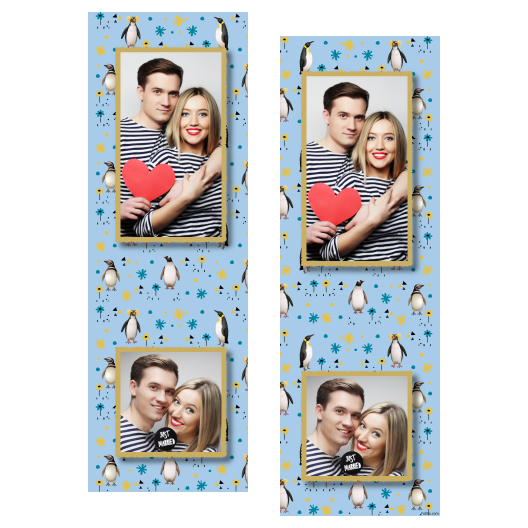 Dzień Pingwina + zwierzęta i kwiaty + 110 złoty Dzień Pingwina + zwierzęta i kwiaty + 110 złoty