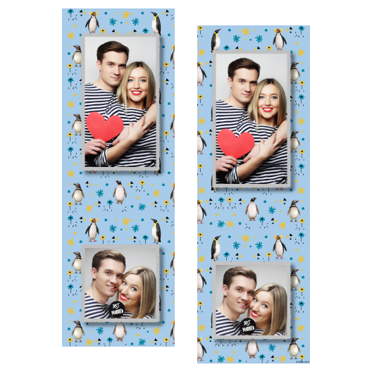 Dzień Pingwina + zwierzęta i kwiaty + 110 Dzień Pingwina + zwierzęta i kwiaty + 110