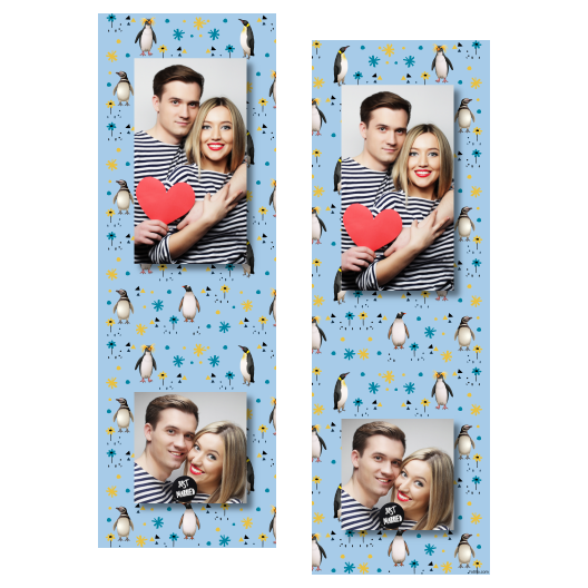 Dzień Pingwina + zwierzęta i kwiaty + 110 brak ramki Dzień Pingwina + zwierzęta i kwiaty + 110 brak ramki