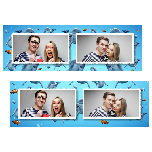 Dzień delfinów + ryby + 201 biały Dzień delfinów + ryby + 201 biały