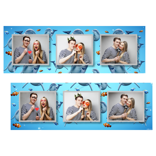 Dzień delfinów + ryby + 202 Dzień delfinów + ryby + 202