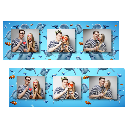 Dzień delfinów + ryby + 202 brak ramki Dzień delfinów + ryby + 202 brak ramki