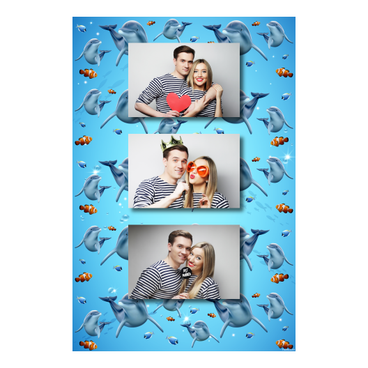 Dzień delfinów + ryby + 306 brak ramki Dzień delfinów + ryby + 306 brak ramki