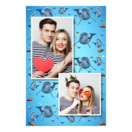 Dzień delfinów + ryby + 307 biały Dzień delfinów + ryby + 307 biały