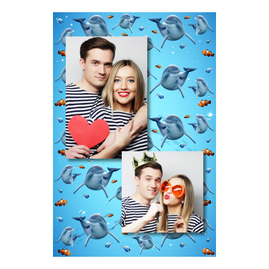 Dzień delfinów + ryby + 307 brak ramki Dzień delfinów + ryby + 307 brak ramki