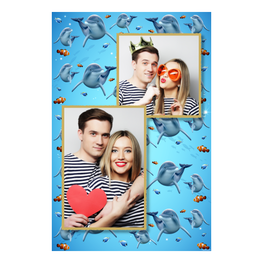 Dzień delfinów + ryby + 308 złoty