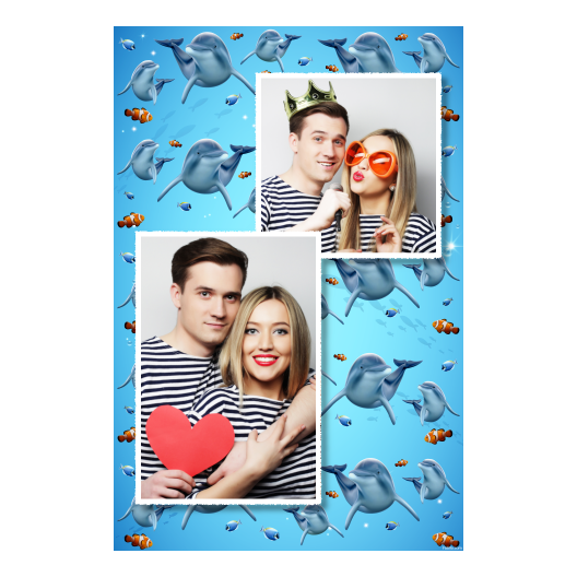 Dzień delfinów + ryby + 308 biały