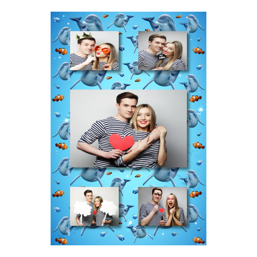 Dzień delfinów + ryby + 321 brak ramki Dzień delfinów + ryby + 321 brak ramki