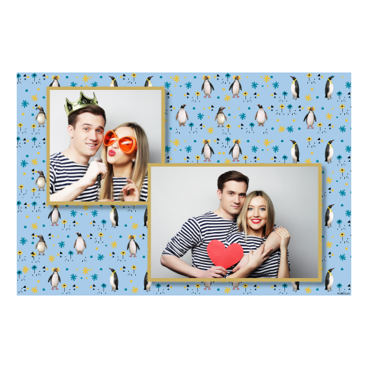 Dzień Pingwina + zwierzęta i kwiaty + 403 złoty