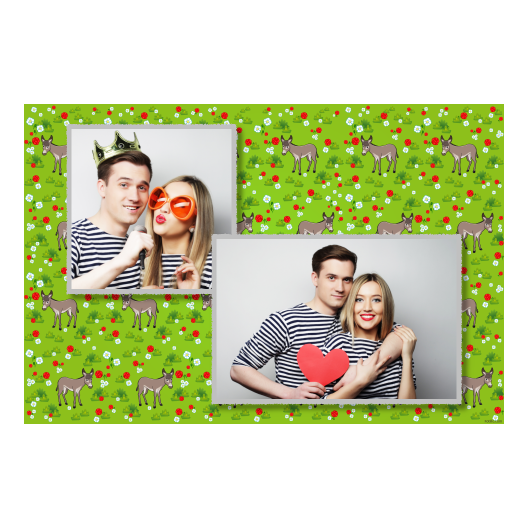 Dzień Osła + kwiaty, zwierzęta + 403 Dzień Osła + kwiaty, zwierzęta + 403