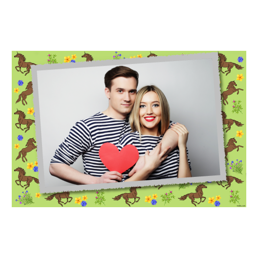Dzień Konia + Zwierzęta, kwiaty + 405 Dzień Konia + Zwierzęta, kwiaty + 405