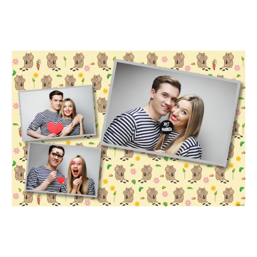 Dzień chomika + kwiaty + 406 Dzień chomika + kwiaty + 406