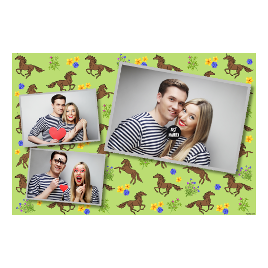 Dzień Konia + Zwierzęta, kwiaty + 406 Dzień Konia + Zwierzęta, kwiaty + 406