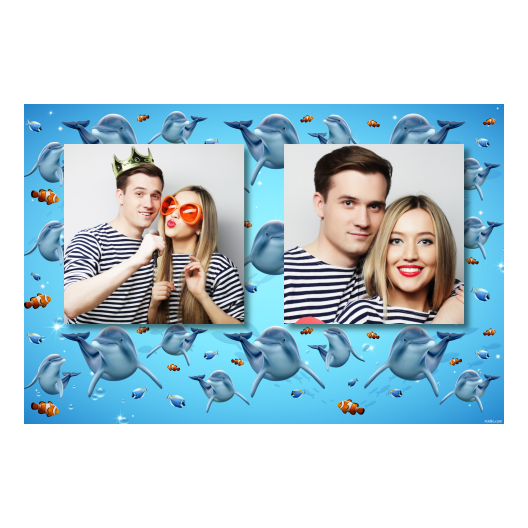 Dzień delfinów + ryby + 407 brak ramki Dzień delfinów + ryby + 407 brak ramki