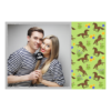 Dzień Konia + Zwierzęta, kwiaty + 408 Dzień Konia + Zwierzęta, kwiaty + 408