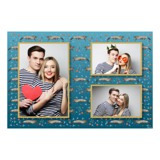 Dzień Krewetki + Zwierząt + 413 złoty